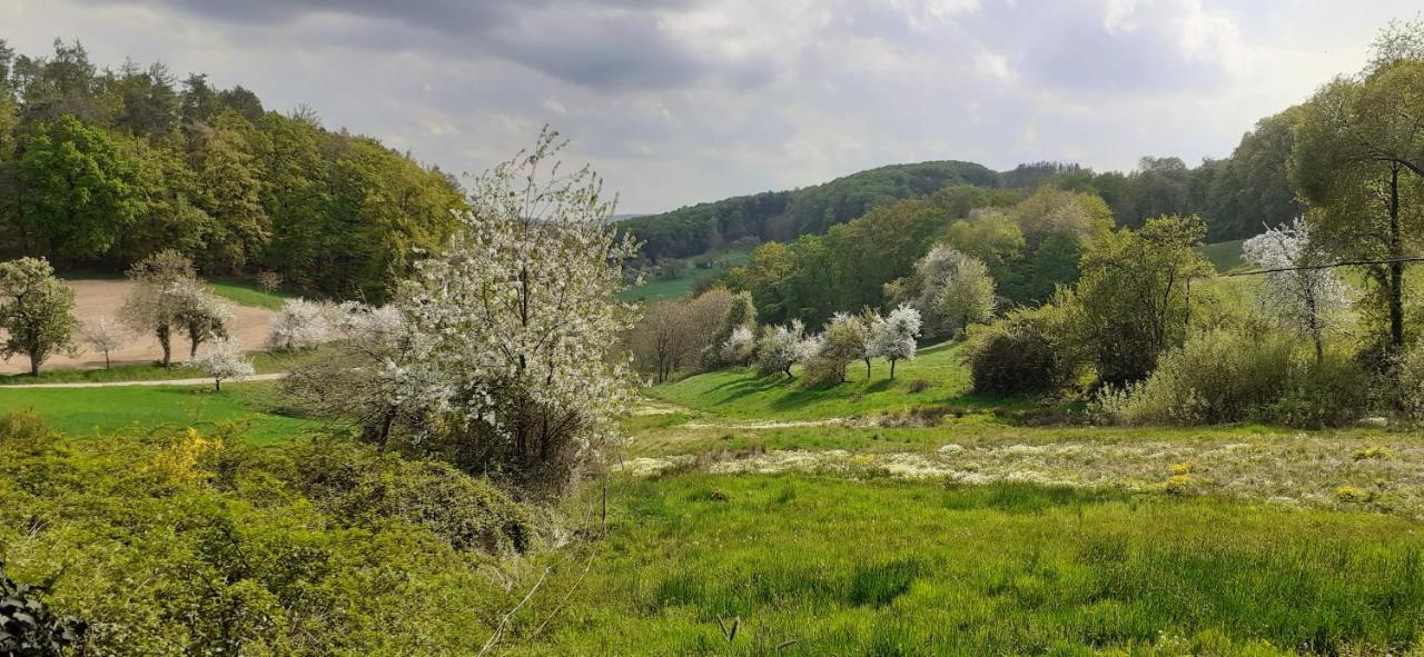 Вилла Odenwald Lounge Reichelsheim Экстерьер фото