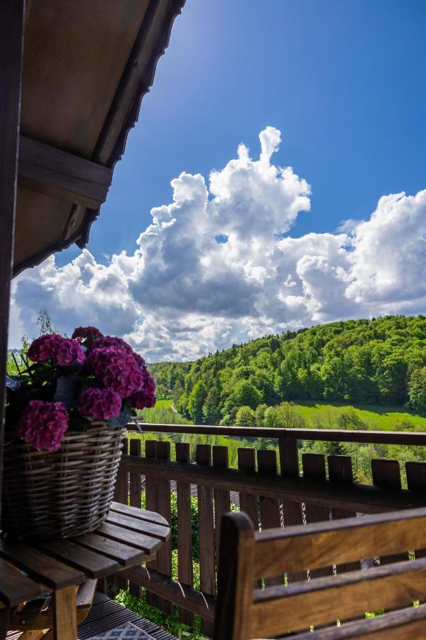 Вилла Odenwald Lounge Reichelsheim Экстерьер фото