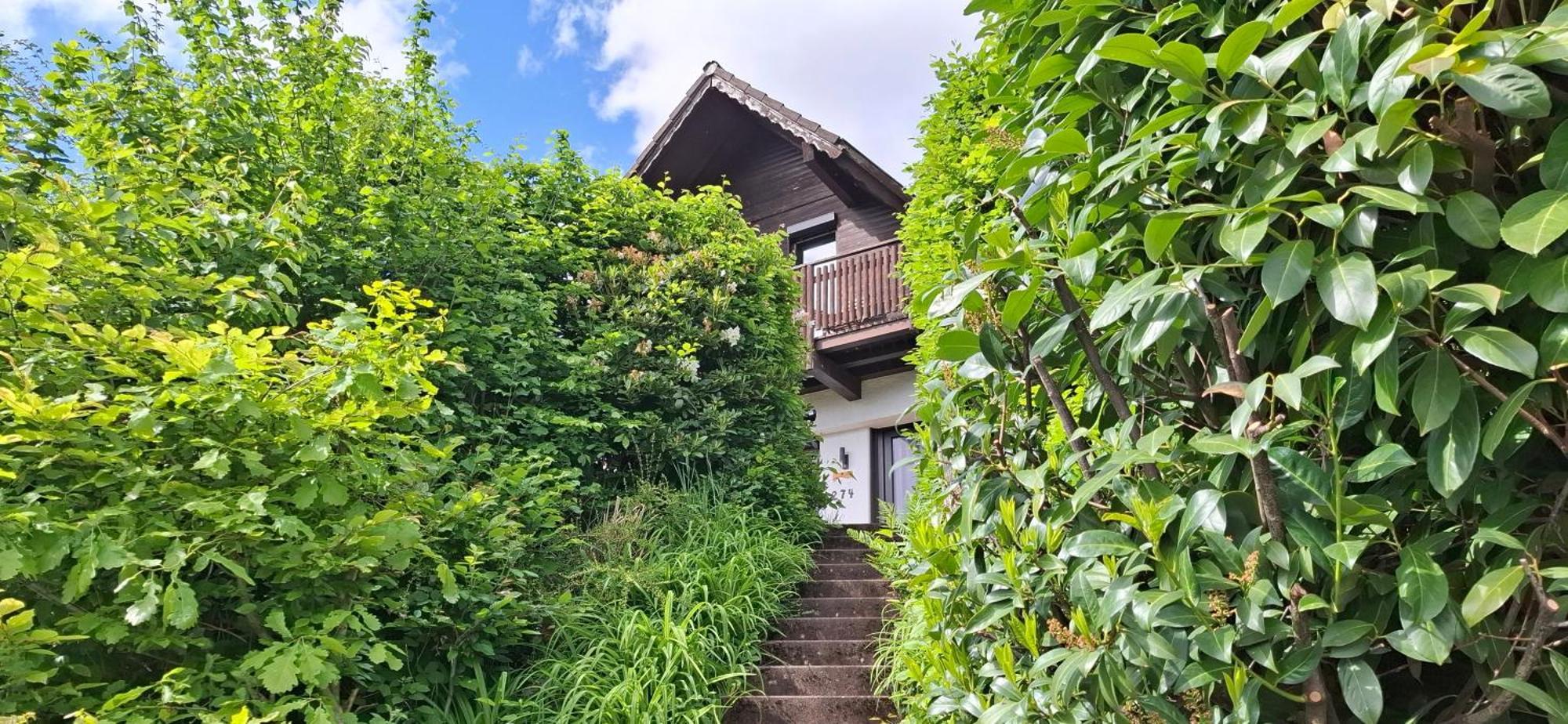 Вилла Odenwald Lounge Reichelsheim Экстерьер фото