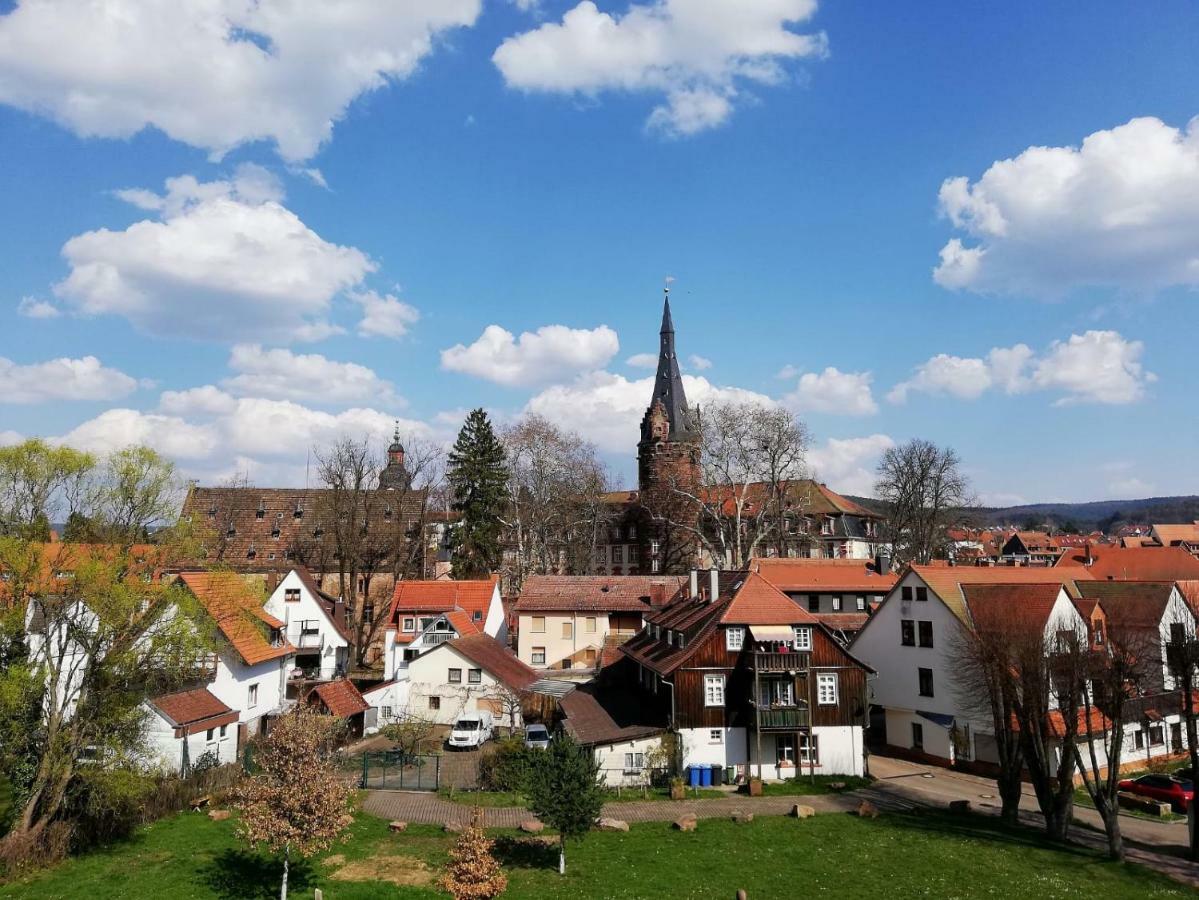 Вилла Odenwald Lounge Reichelsheim Экстерьер фото