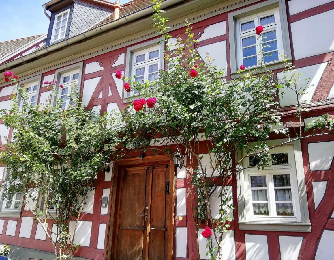 Вилла Odenwald Lounge Reichelsheim Экстерьер фото